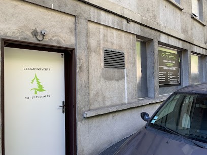 Les Sapins Verts, Vendeur de Voitures d'Occasion à Saint-Claude