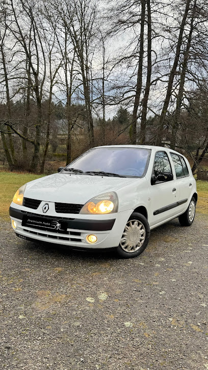 Premium Auto 19 Vendeur De Voitures D'occasion à Meymac