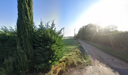 Vendeur Réparation Location camping-car SENOZAN, Vendeur de Voitures d'Occasion à Senozan